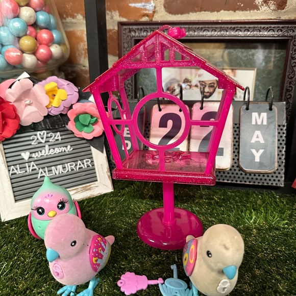 Three live pet birds 🐦 - Picture 3 of 12